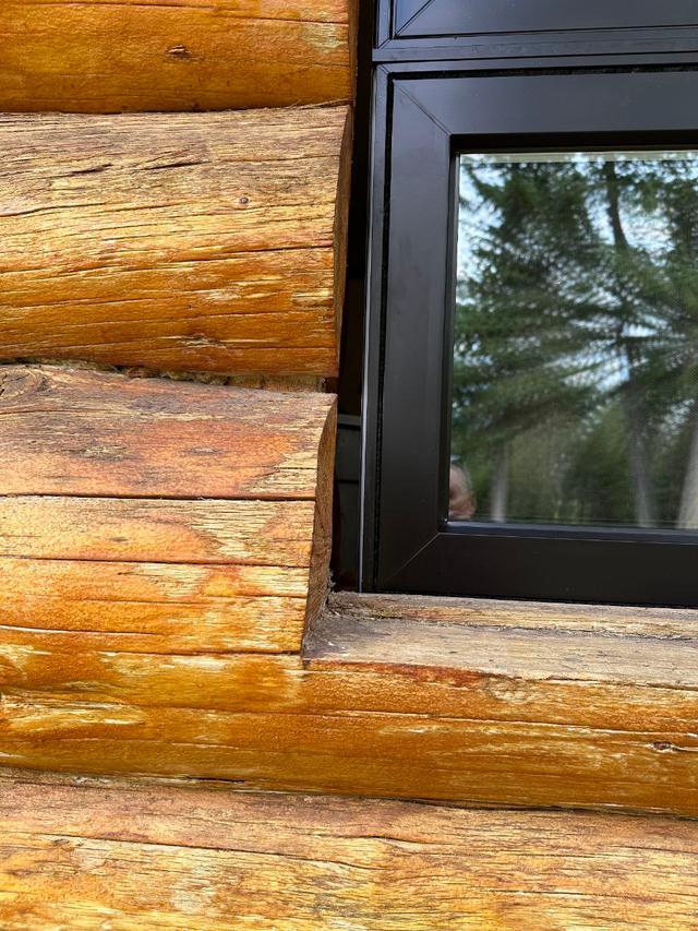 Newly installed windows in a log home wall